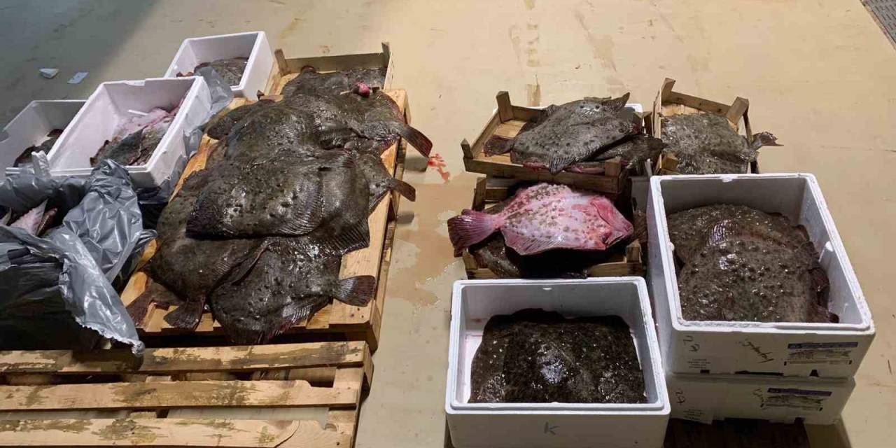 Gürpınar Su Ürünleri Hali’nde Kalkan Operasyonu