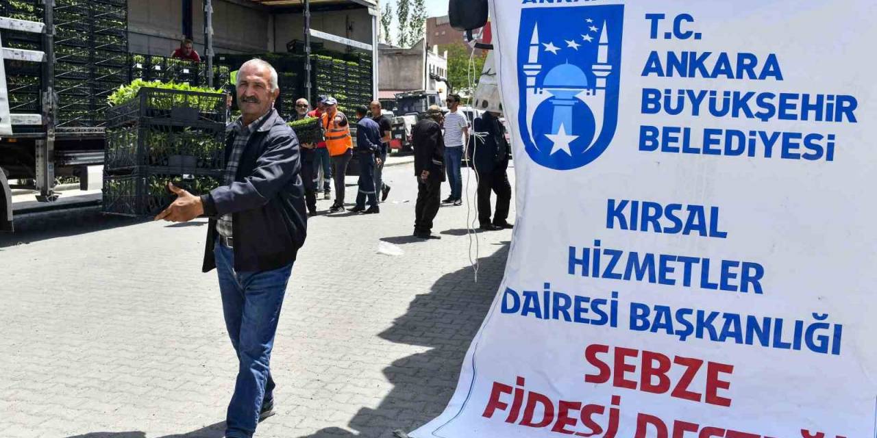 Ankara Büyükşehir Belediyesinin Sebze Fidesi Dağıtımı Tekrar Başladı