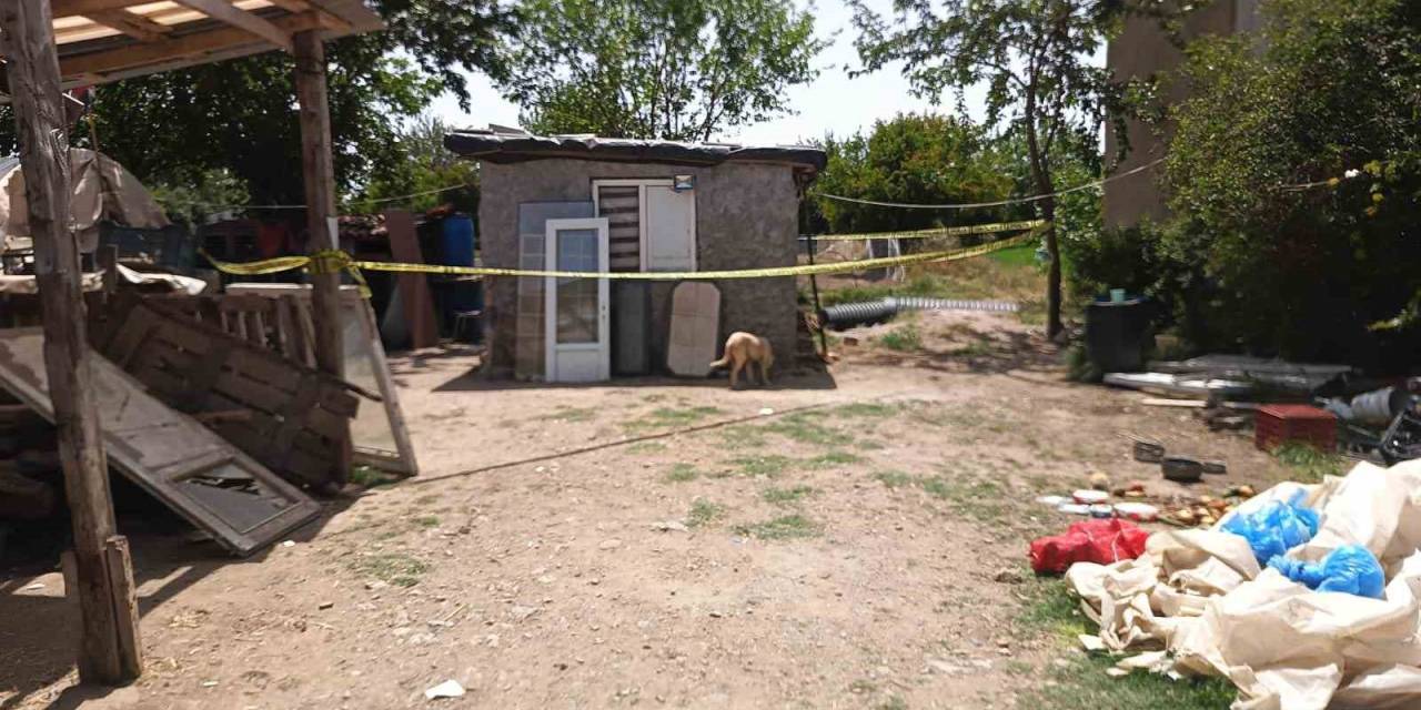 Koyun Sayasında Öldürüldü