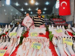 Bu Sezonda Balık Az