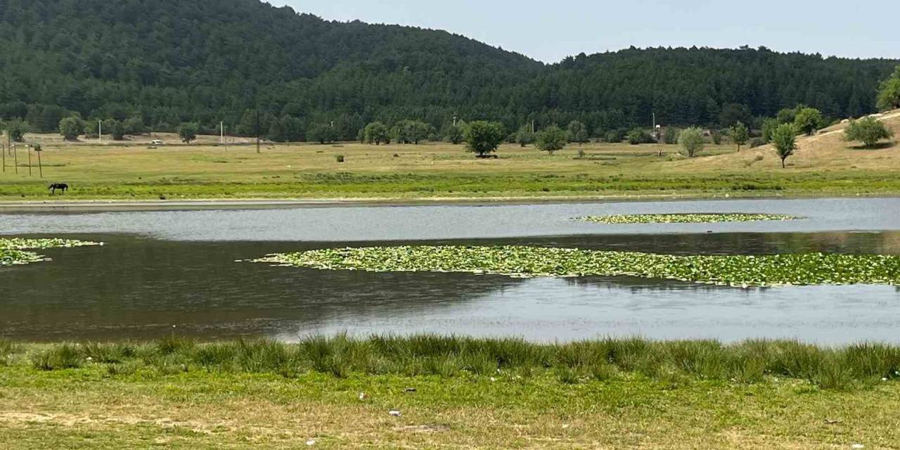 Süleymanlı Yayla Gölünde Nilüfer Şöleni Başladı