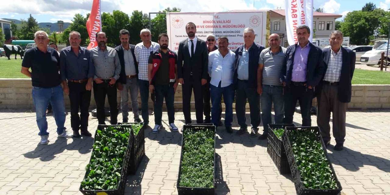 Bingöl’de Çiftçiye 390 Bin Fide Dağıtıldı