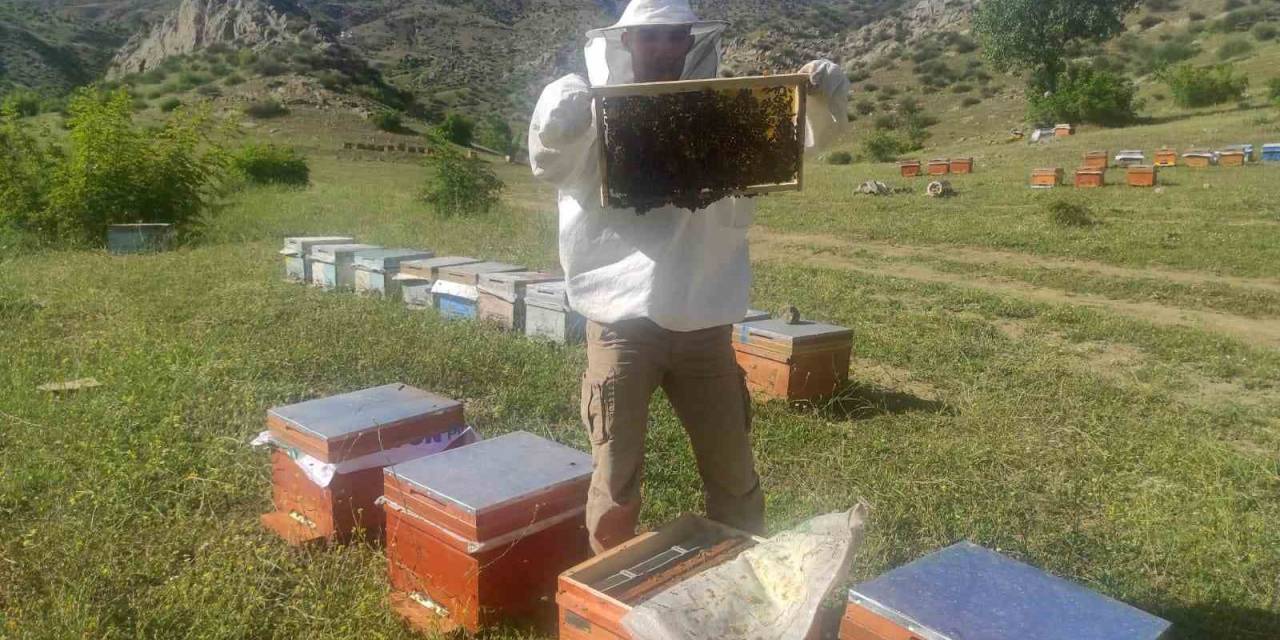 Batman’da Hazırlıklarını Tamamlayan Arıcılar Organik Bal Üretimi İçin Yaylalara Çıkıyor