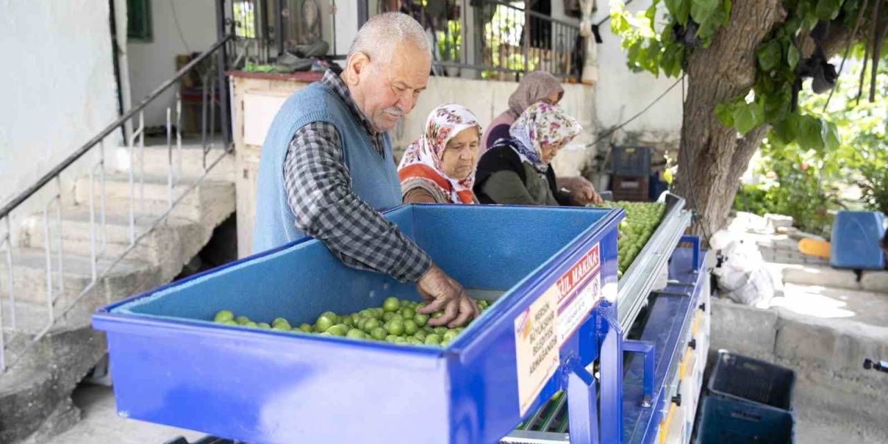 Büyükşehir Belediyesinden Mut’lu Üreticilere Erik Boylama Makinesi Desteği