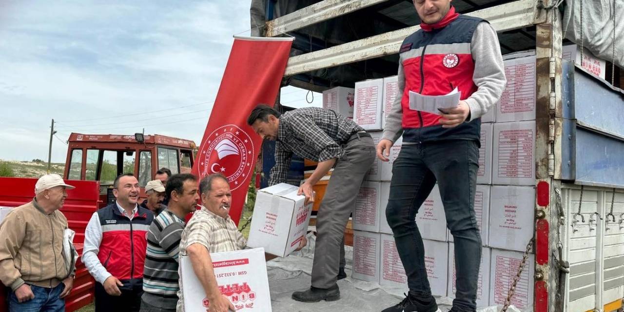 Kütahya’da 15 Üreticiye Ücretsiz 105 Arı Kovanı Dağıtıldı