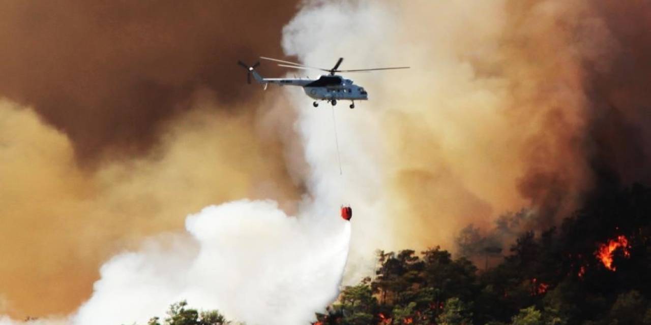 Aydın’da Ormanlık Alanlara İzinsiz Girilemeyecek