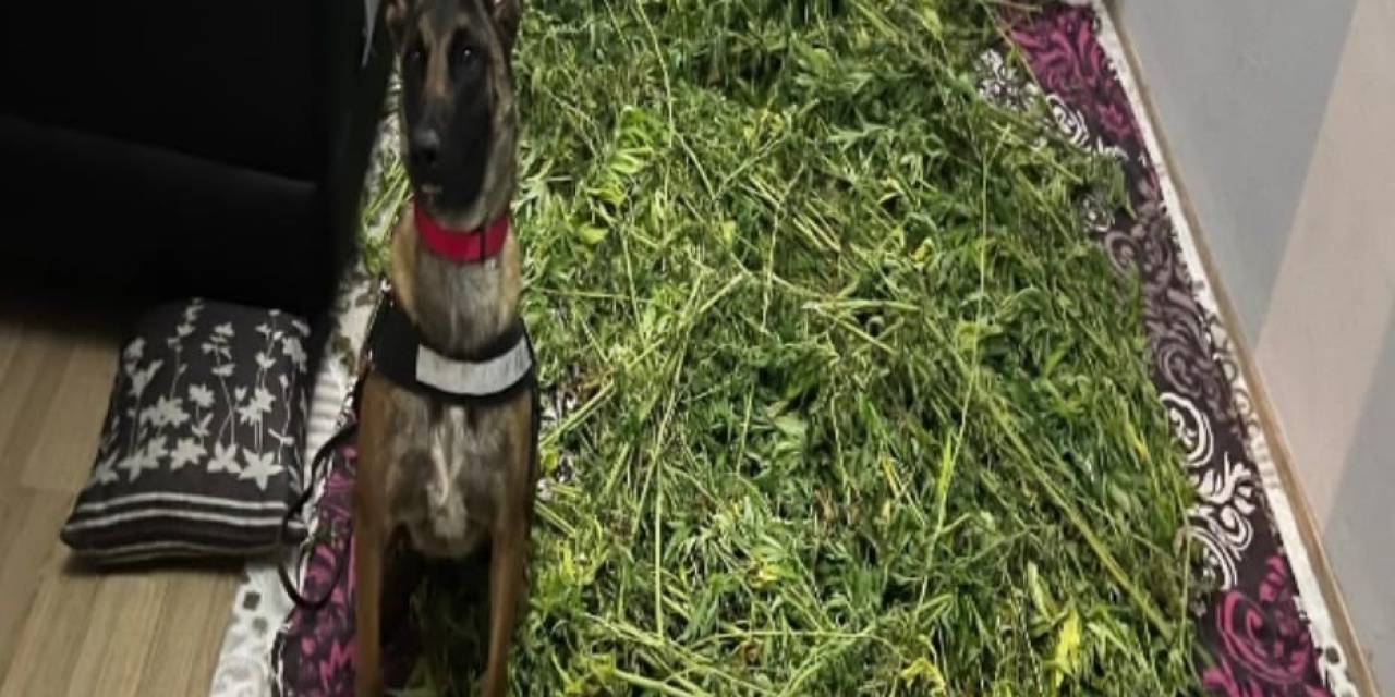 İzmir’de 10 Kilo Uyuşturucu Madde Ele Geçirildi