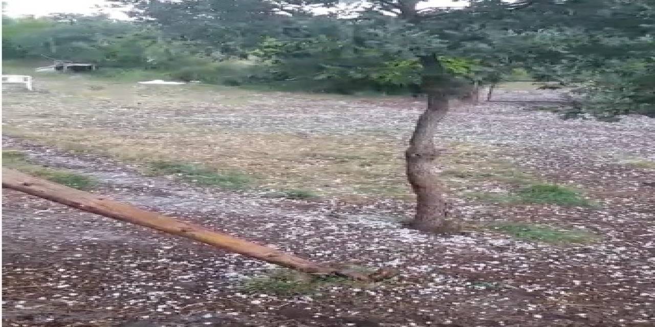 Tavşanlı’da Ceviz Büyüklüğünde Dolu Yağdı