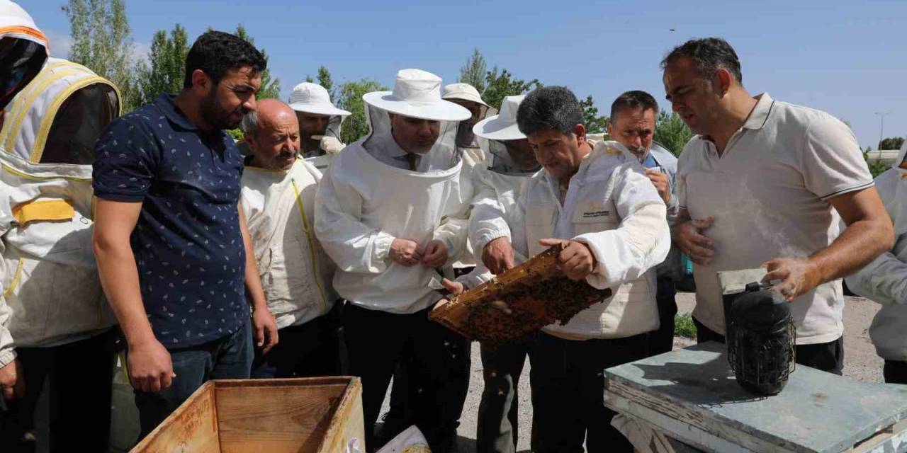 Arı Yetiştiricilerine Uygulamalı Eğitim