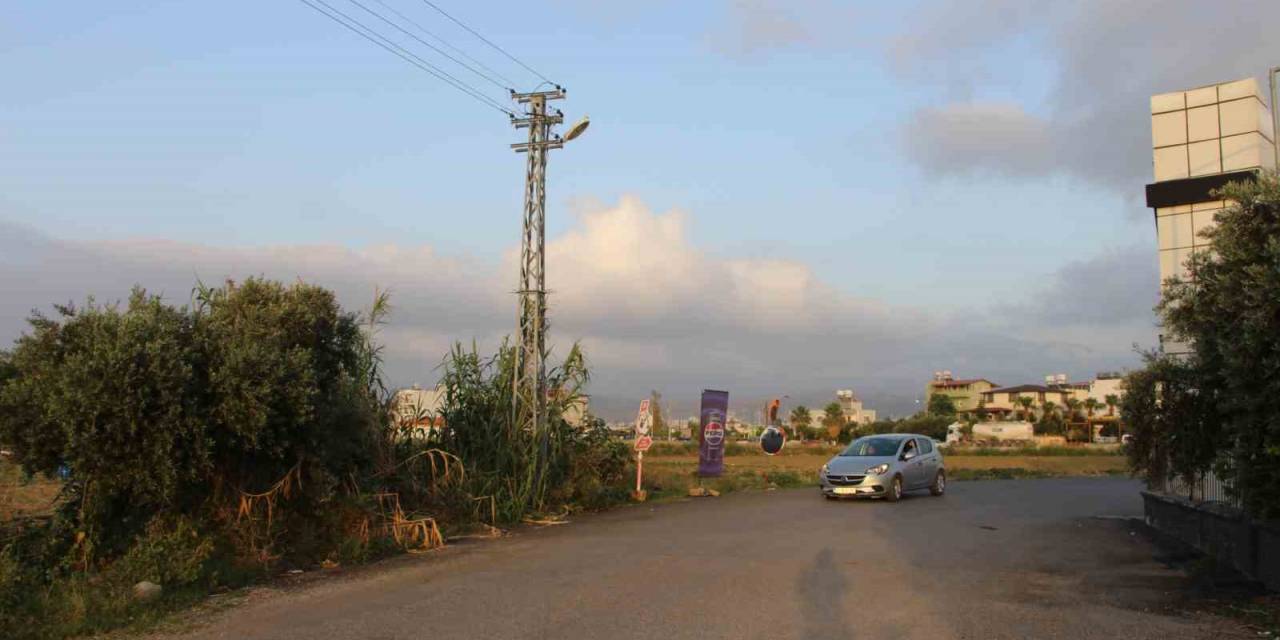 Sabah Sporunda Köpeklerin Saldırısına Uğrayan Kadın Kabusu Yaşadı