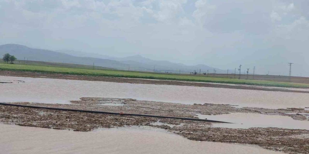 Doludan Zarar Gören Ekili Alanların Tespiti Yapıldı