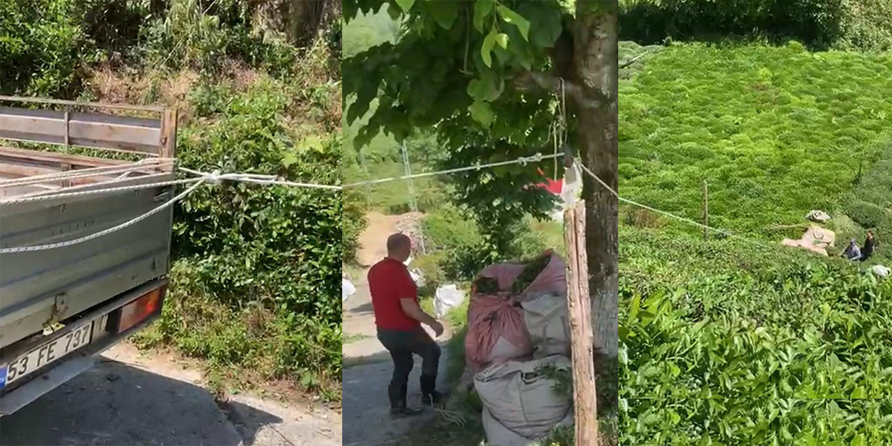 Rizeli’nin Çay Taşıma Yöntemi İlgi Çekti