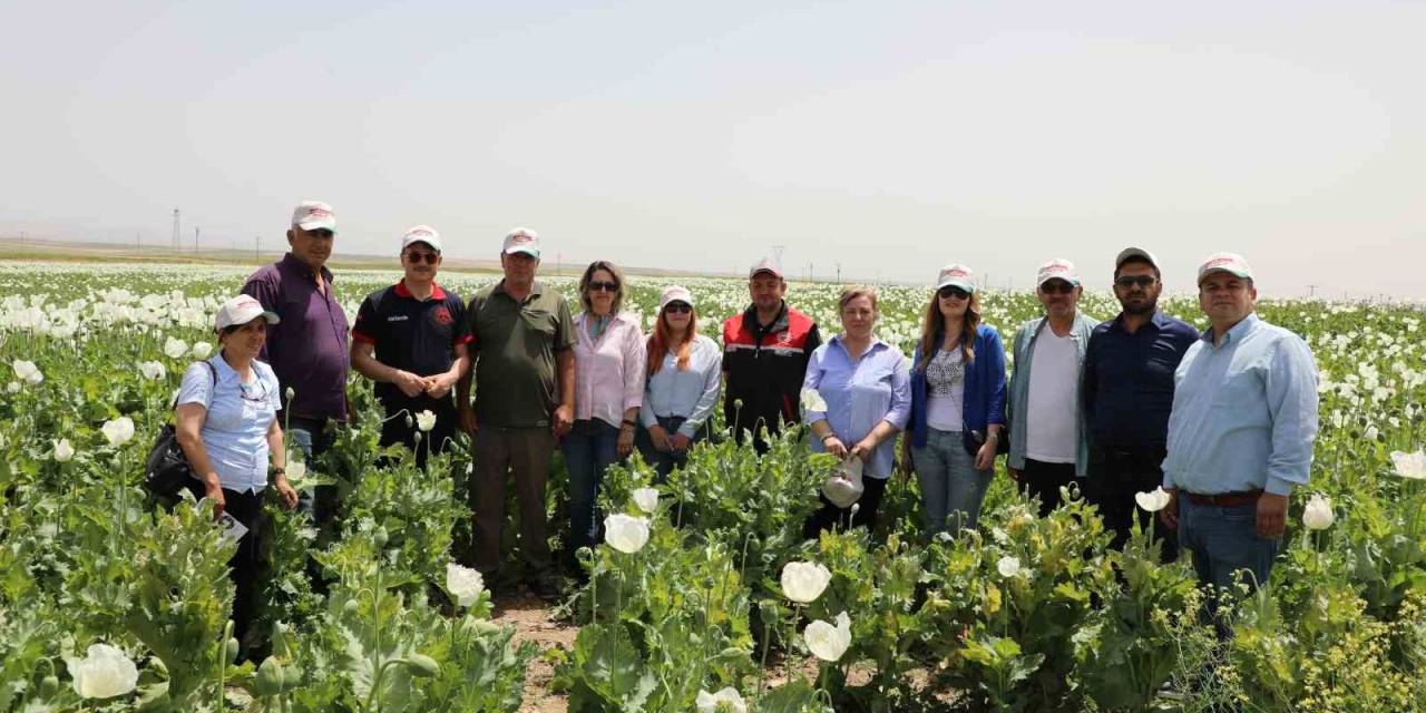 Eskişehir’de Haşhaş Çeşitleri İçin Tarla Günü Düzenlendi