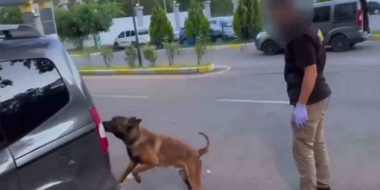 Batman’da Takibe Alınan Araçlarda 93 Kilo Esrar Ele Geçirildi