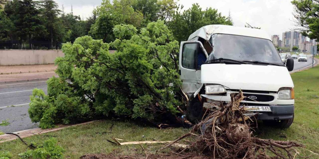 Yoldan Çıkan Panelvan Araç Refüjdeki Ağaca Çarptı: 1’i Ağır 2 Yaralı