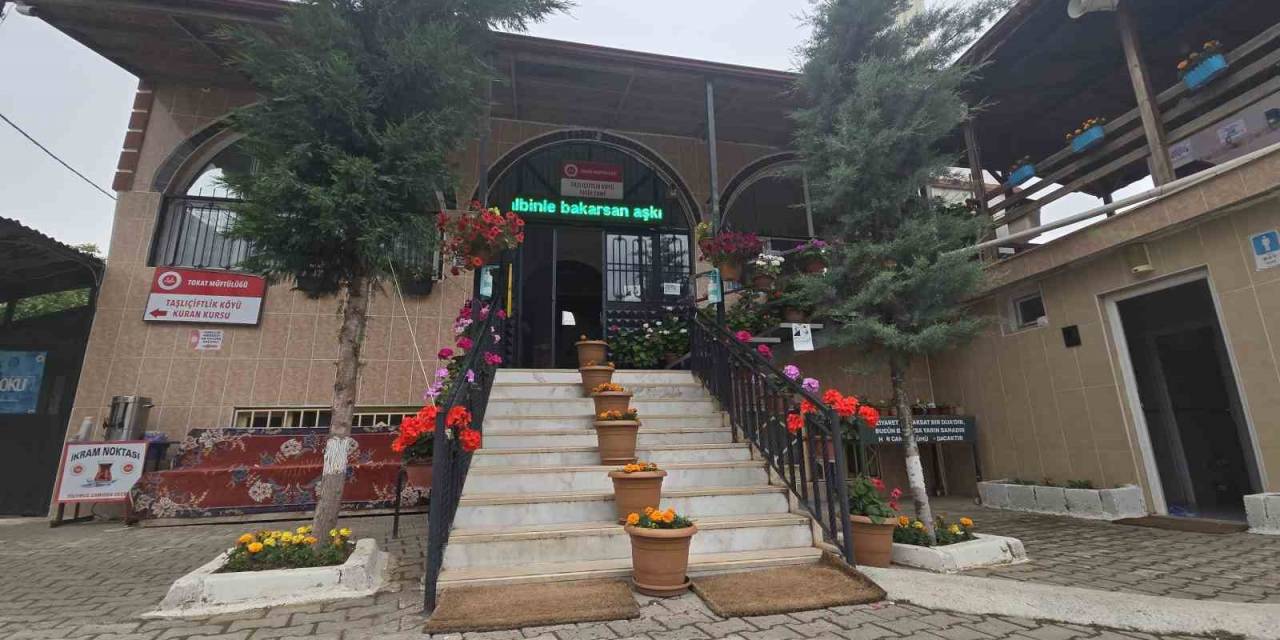 Görenleri Yolundan Ediyor: Görüntüsüyle Çiçek Bahçesini Andırıyor