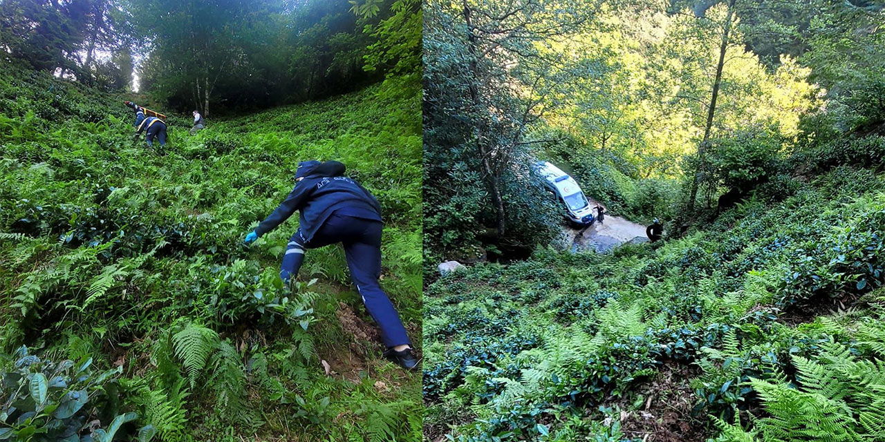 Rize’de Çay Keserken Düşen Kişi Hastaneye Kaldırıldı