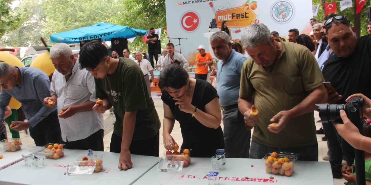 Mut Karacaoğlan Ve Kayısı Festivali Coşkulu Başladı