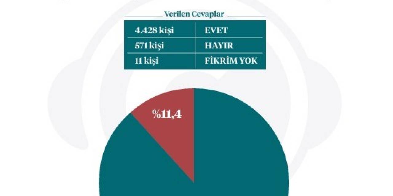 İletişim Başkanlığından Sokak Köpekleri Kamuoyu Araştırması