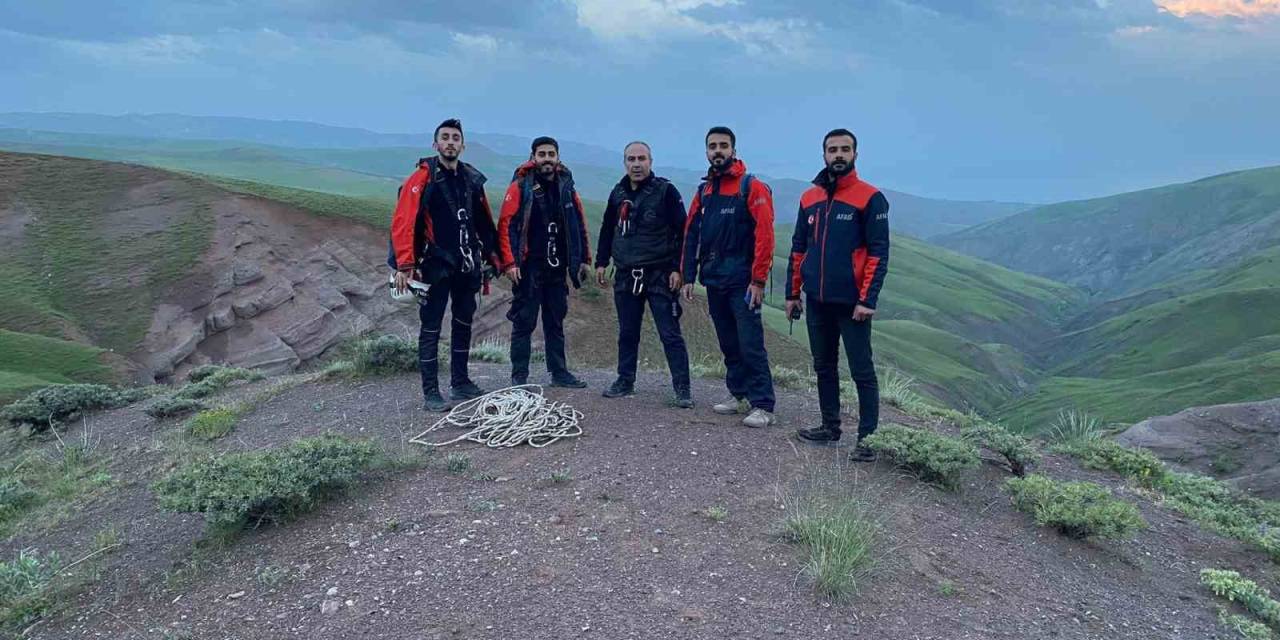 Kayalıkta Mahsur Kalan Yavru Oğlaklar Afad Tarafından Kurtarıldı