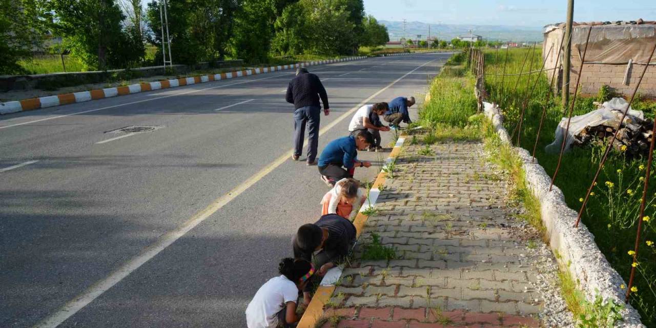 Muş’ta Yağan Bilinmeyen Cisimler Şaşırttı