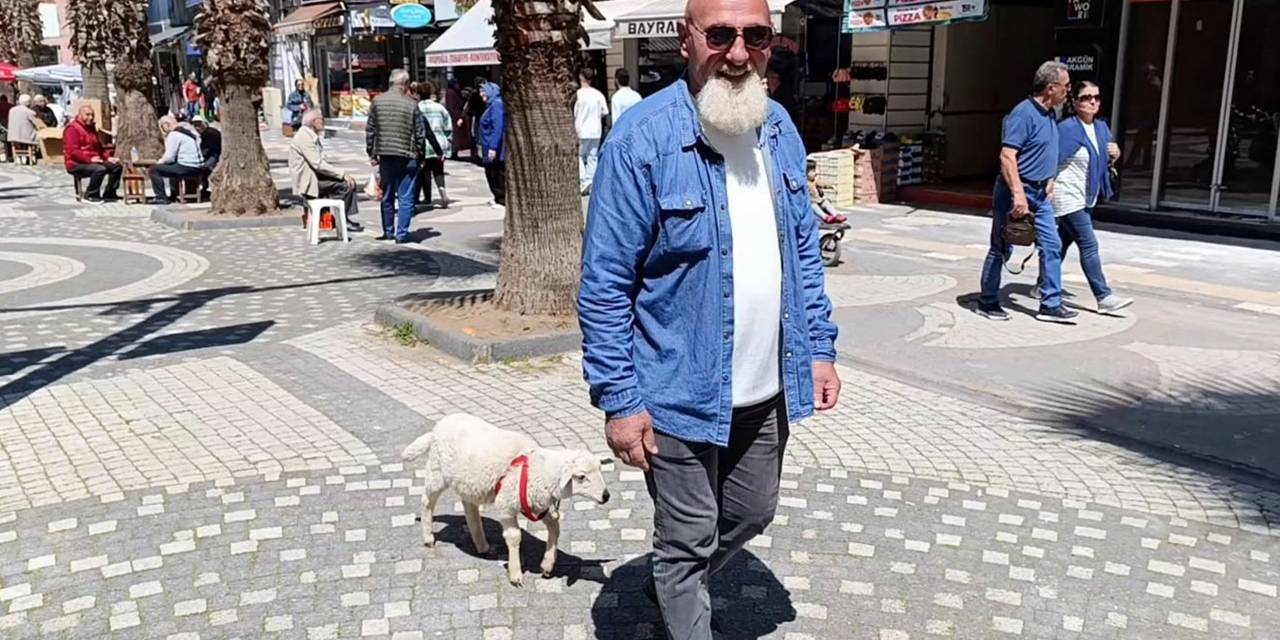 İki Aylık Kuzusu Peşinden Hiç Ayrılmıyor