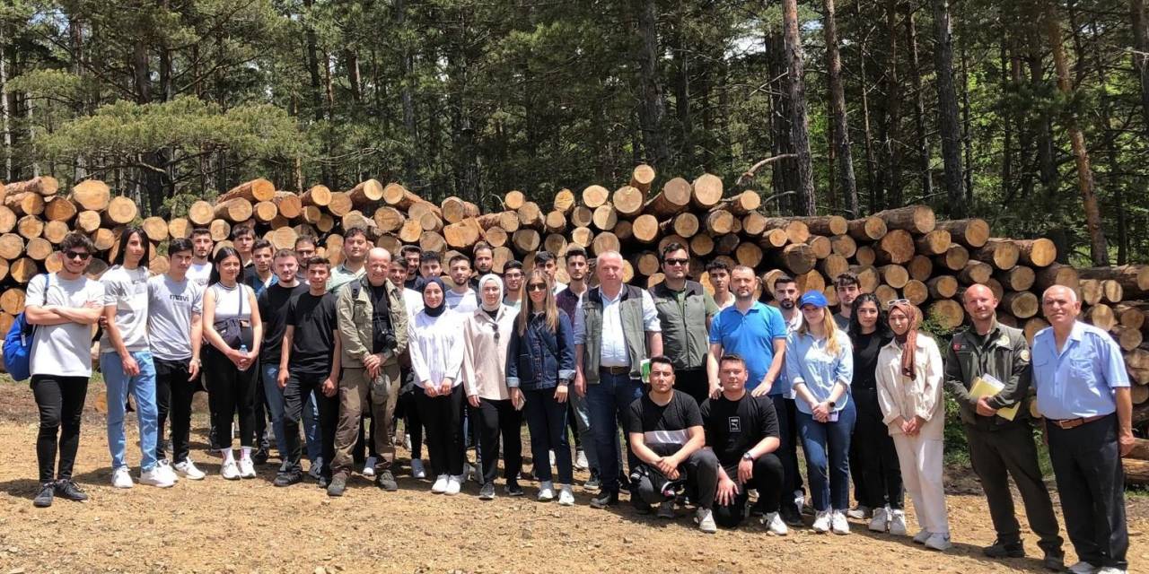 Tokat’ta Üniversitesi Öğrencilerine Uygulamalı Ormancılık Eğitimi