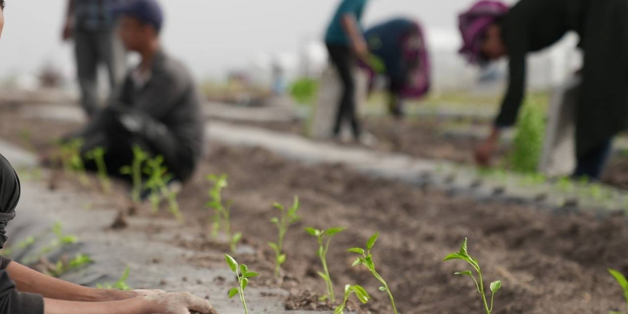Ata Tohumları Karatay’da Toprakla Buluştu