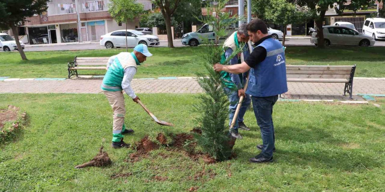 Peyzaj Çalışması İle Parklar Güzelleştiriliyor
