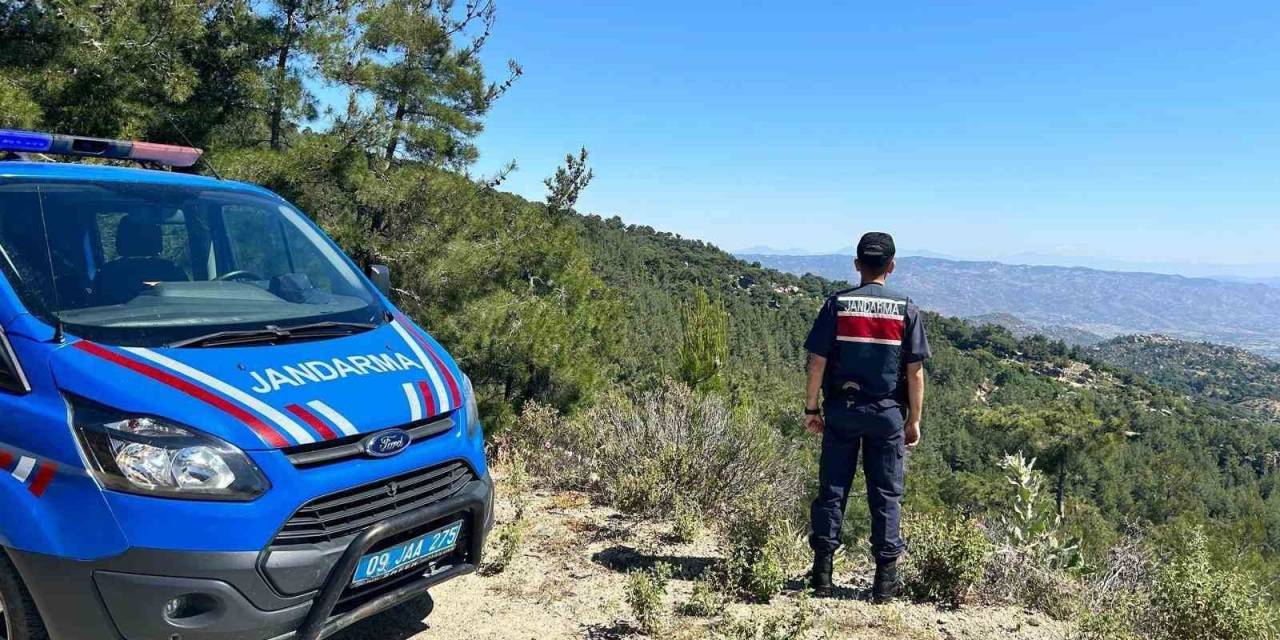 Aydın’da Orman Yangınlarına Karşı Yoğun Tedbirler Alınıyor