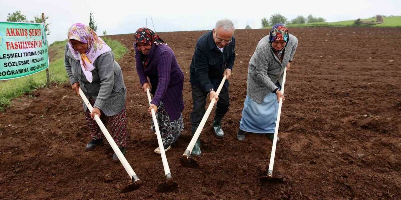 Başkan Güler: “Akkuş Fasulyesine Avrupa Birliği Coğrafi İşaret Almak İçin Çalışmalar Yapılıyor”