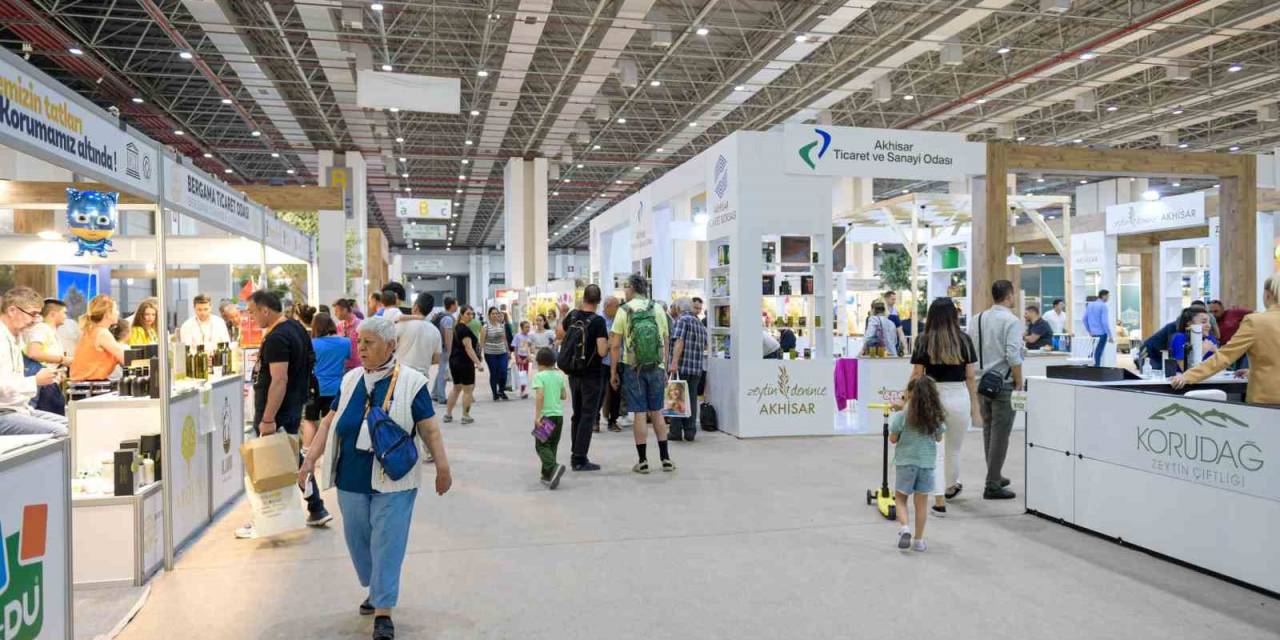 "Erken Hasatta Zeytinyağı Daha Acı Ve Yakıcı Olabilir"