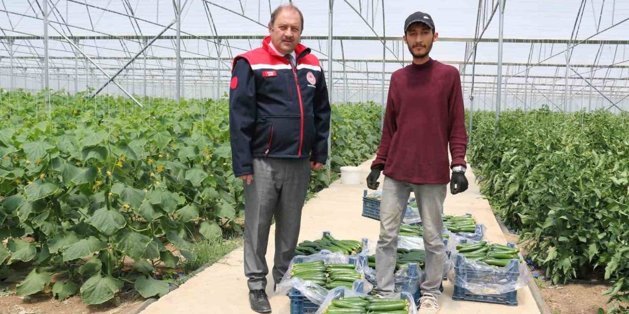 Genç Çiftçinin Hasat Sevinci