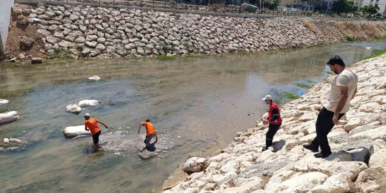 Nusaybin’de Çağ Çağ Deresi’ne Atılan Çöpler Temizlendi