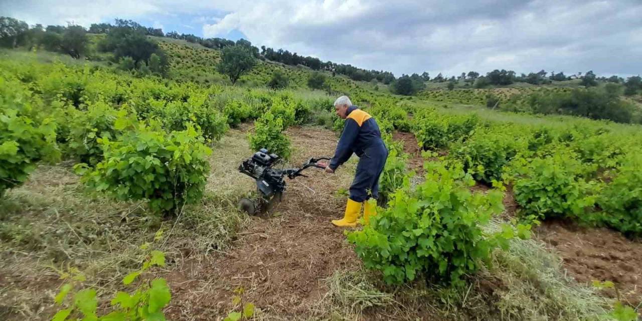 Kulp’ta Bağcılıkta Çapa Makinesi Dönemi