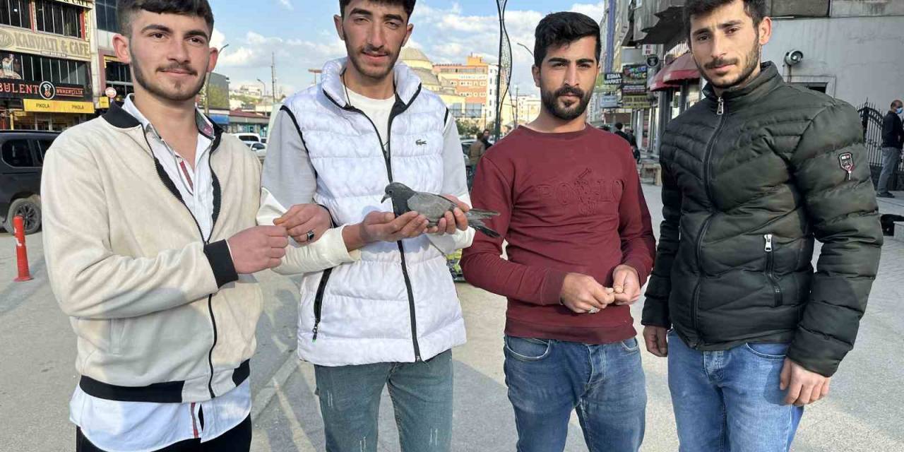 Yüksekovalı Gençlerden Örnek Davranış: Yaralı Güvercin Kurtarıldı