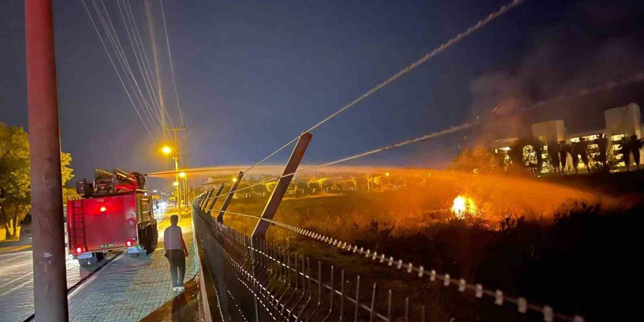 Alanya’da Şampiyonluk Kutlamasında Boş Araziye Atılan Meşale Yangın Çıkardı