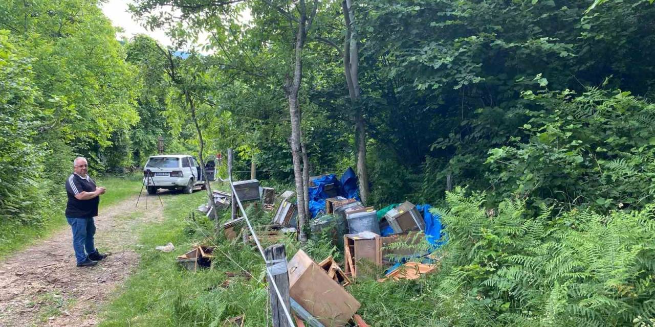 Elektrikli Çitleri Aşarak Kovalarını Parçalayan Ayıya "Helal Olsun" Dedi