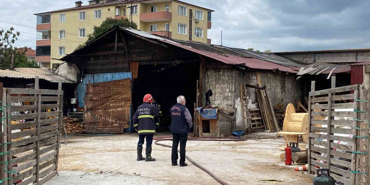Alevlerden Kaçarken Yola Fırlayan Kedinin İmdadına Yetişti