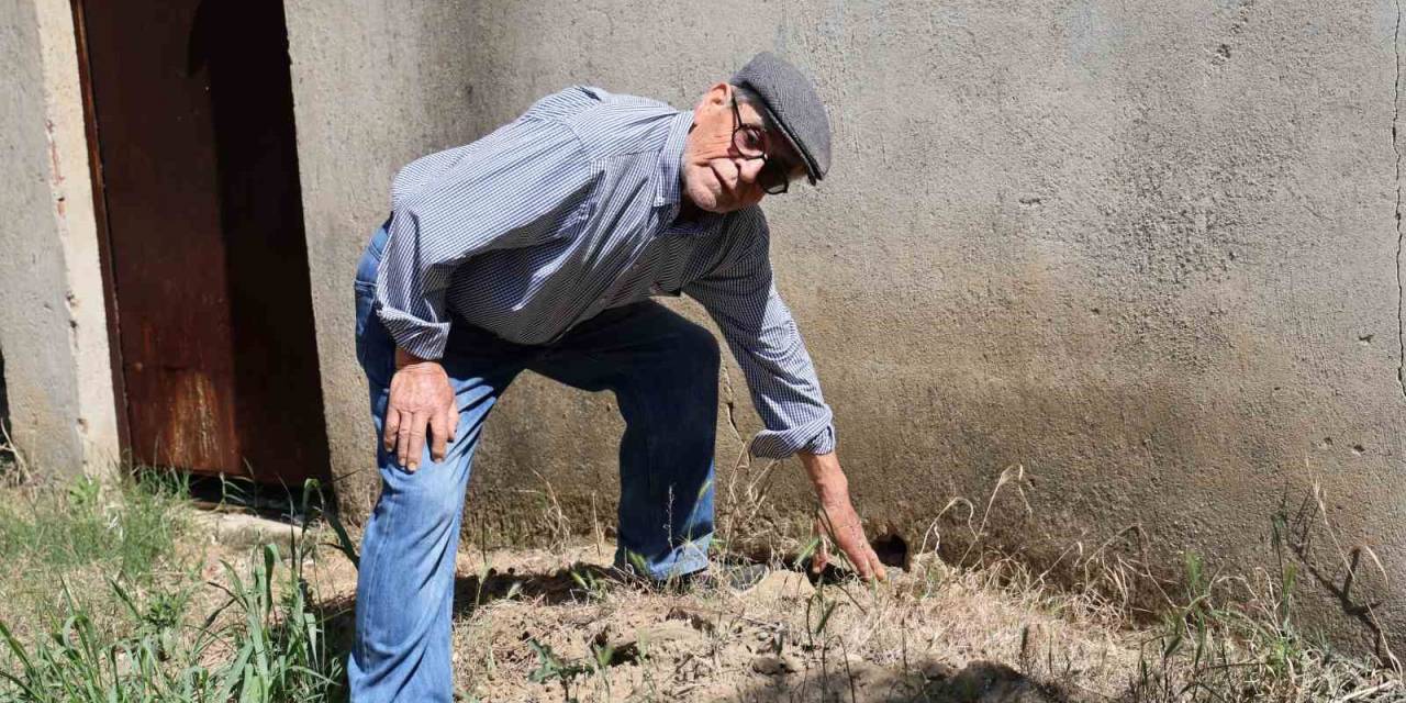 Defineciler, Yaşar Dede’nin Uykularını Kaçırdı
