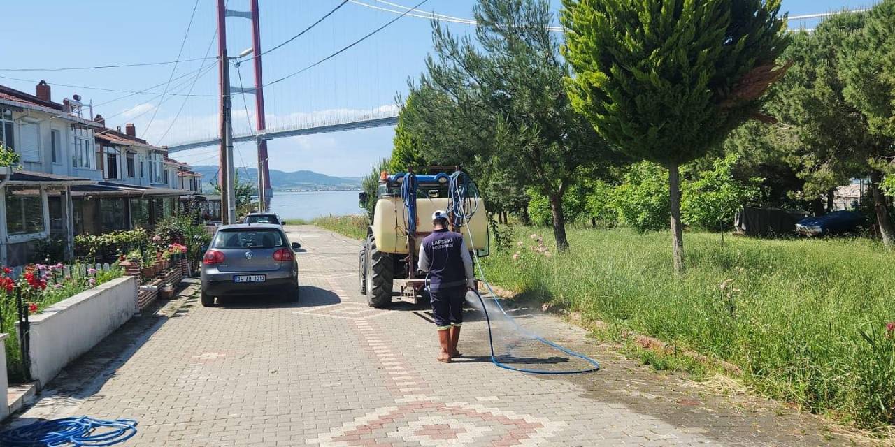 Lapseki’de Kene Ve Haşere İlaçlama Çalışmaları Gerçekleştirildi