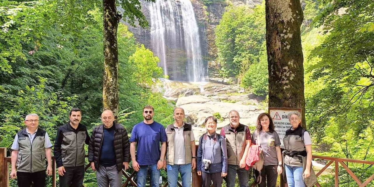 Mustafakemalpaşa Ormanları ’terapi Ormanı’ İçin Mercek Altında