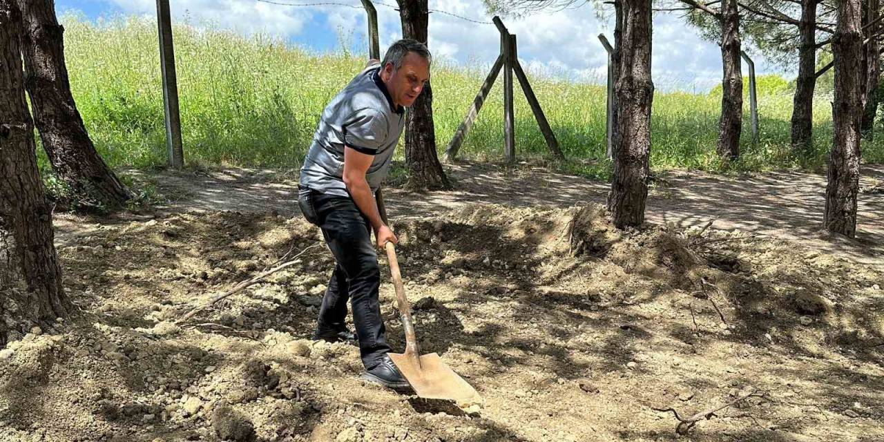 Definecilerin Talan Ettiği Şehit Mezarlığı Ve Çevresine Mahalleli Sahip Çıktı