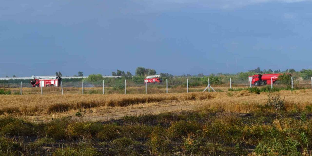 Antalya’da 250 Dekarlık Buğday Tarlası Hasat Yapılamadan Kül Oldu