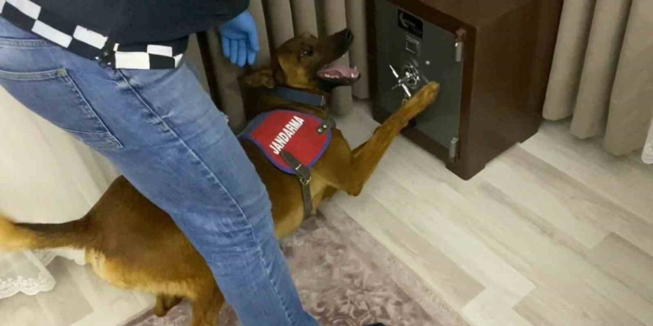 Jandarmadan 1 Milyonluk Uyuşturucu Operasyonu