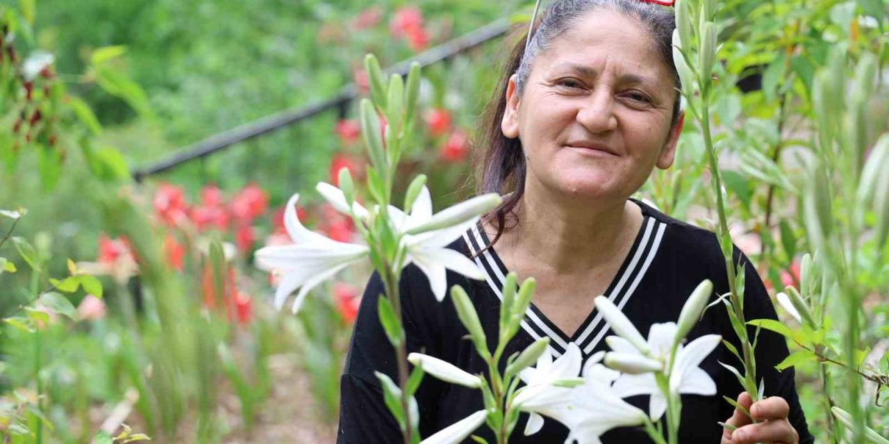 Tokat’tan Getirdi, Kozan Yaylalarında Üretime Başladı