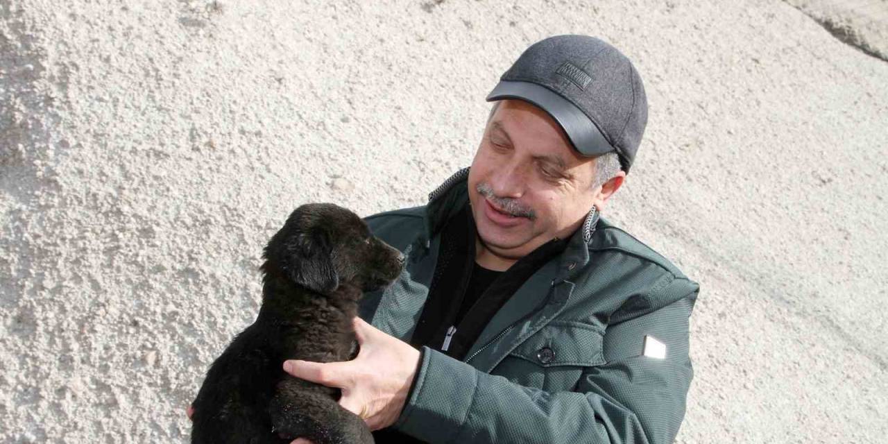 Talas’ta Türkiye’ye Örnek Pati Evi