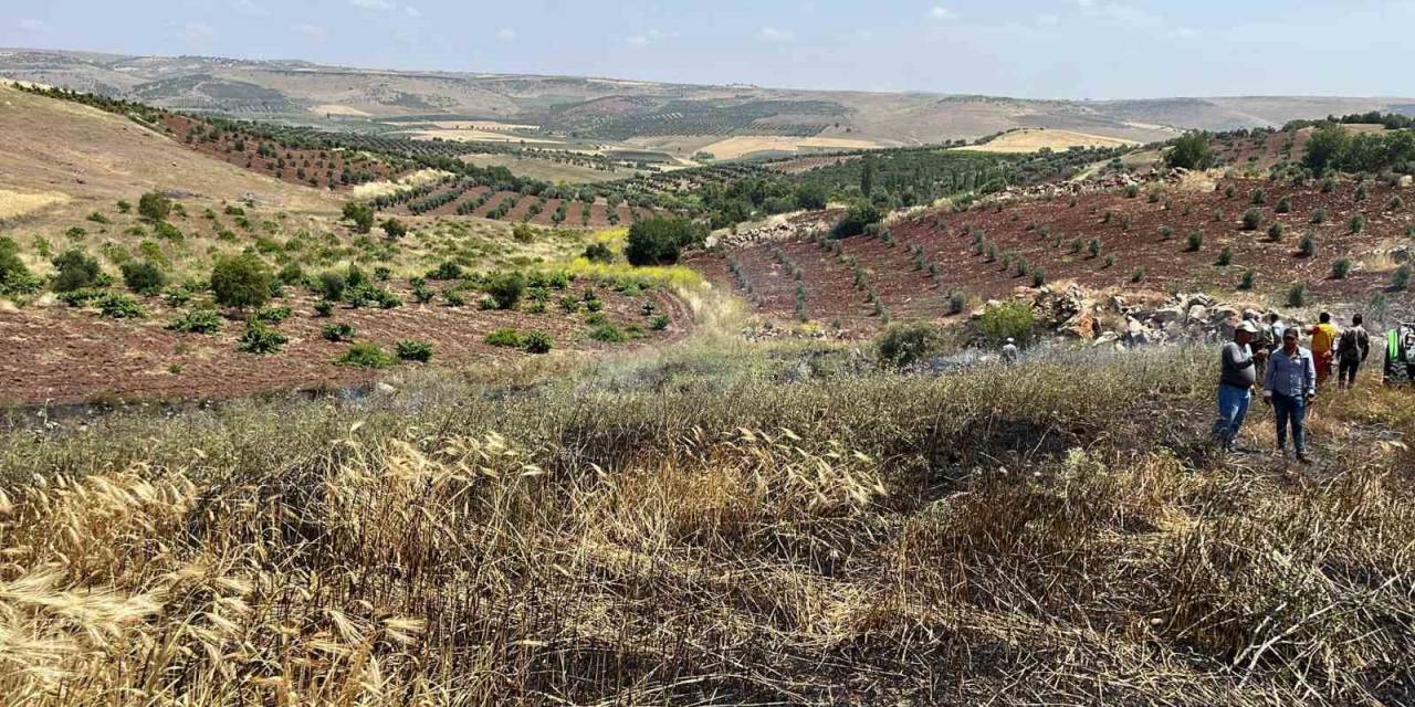 Kilis’te Çıkan Yangında 15 Dönüm Alanda Ekili Buğday Kül Oldu