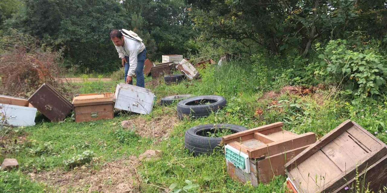 Kovanları Parçalandı, Arıları Telef Oldu