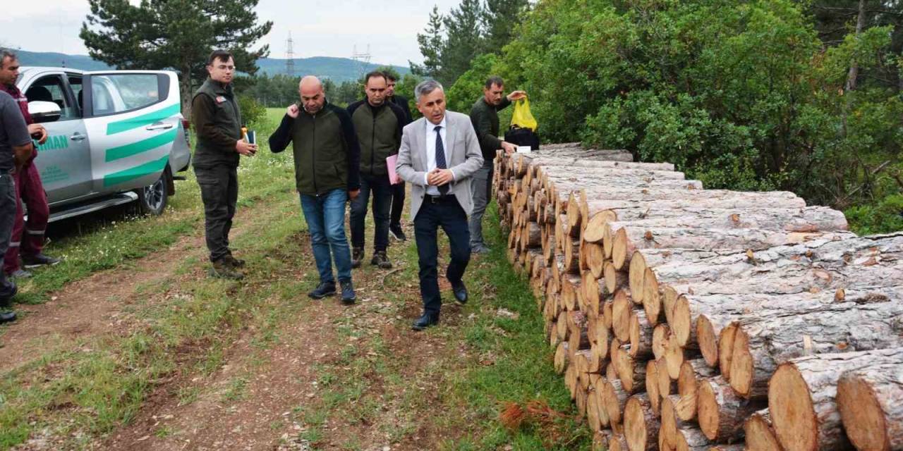 Bölge Müdürü Erdal Dingil, Tavşanlı Ve Simav’da İncelemelerde Bulundu